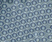 積水化学工業株式会社のギャップフィラー
