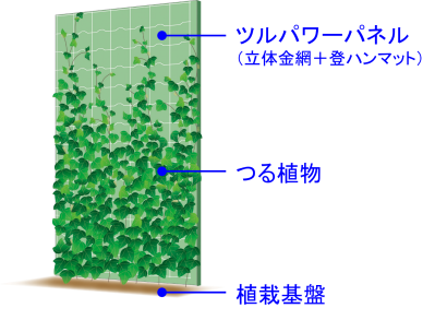 ダイトウテクノグリーン株式会社の壁面緑化