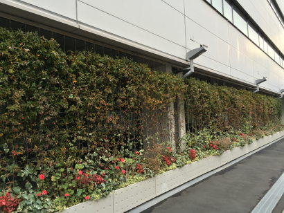 株式会社アルティマの壁面緑化