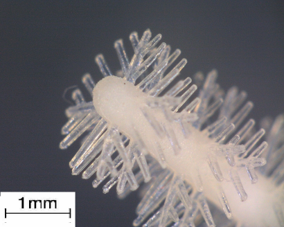株式会社三琇プレシジョンの精密加工