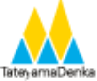立山電化工業株式会社-ロゴ