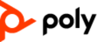 ポリコムジャパン株式会社-ロゴ