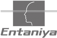 株式会社インタニヤ-ロゴ