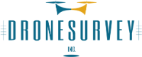 株式会社ドローン・サーベイ-ロゴ