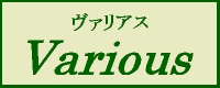 ヴァリアス株式会社-ロゴ
