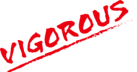 株式会社VIGOROUS-ロゴ