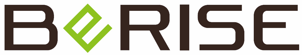 株式会社ビーライズ-ロゴ