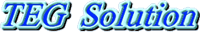 TEGソリューション株式会社-ロゴ
