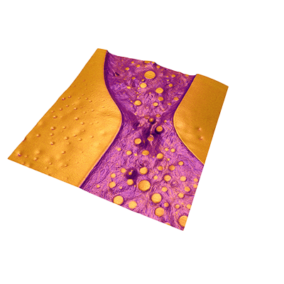 Incorporating the features and advantages of tapping mode into nanomechanical property (mechanical property) mapping AM-FM viscoelastic mapping mode-Oxford Instruments Ltd.
