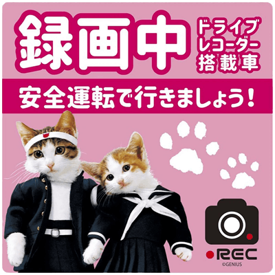 Nameneko dashcam sticker, pink, truck size-Perman Corporation Co., Ltd.