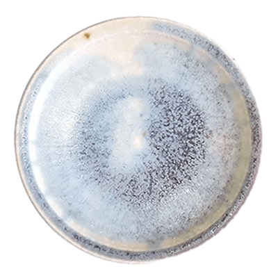 Japanese Tableware Small Plate Gourmet Style Ayomifukai Rim 9cm Plate White Blue-Kinsho Pottery Co., Ltd.