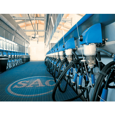 中・大規模牧場に最適 パラレルパーラー-株式会社本多製作所