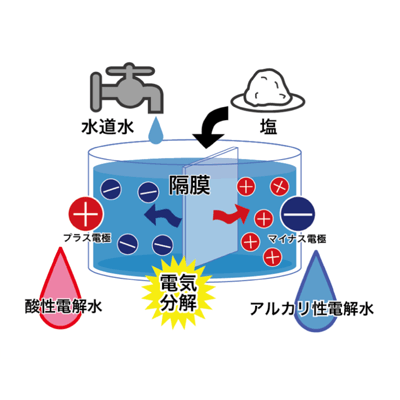 安全な水の力で、洗浄、殺菌する 電解水-八木春株式会社