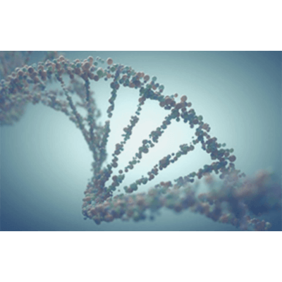 サンプル前処理 超音波処理 (コバリス) Biomarker Extraction-エムエス機器株式会社