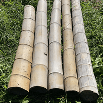 丸竹 孟宗竹 3本セット-株式会社梅鉢TMC