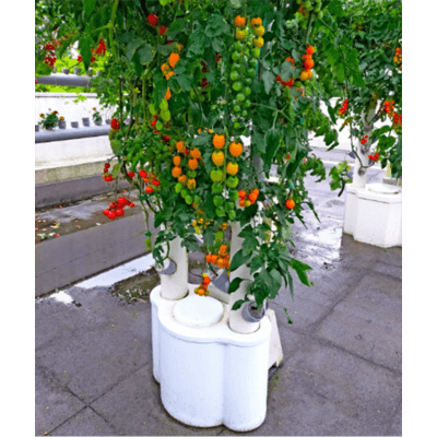 水耕栽培システム TOWER FARM (タワーファーム)-嘉創株式会社