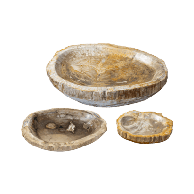 インドネシア産 珪化木 水盤-株式会社竹藤商店