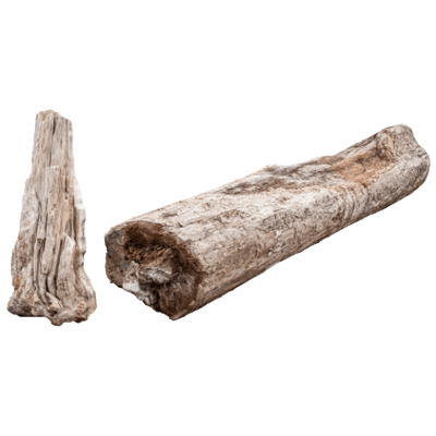 インドネシア産 木化石 景石-株式会社竹藤商店