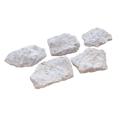 フィリピン産 ラプラプストーン スライス-株式会社竹藤商店