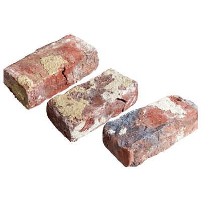 ベルギー産 オールドスヘルデ レッドマルチ-株式会社竹藤商店