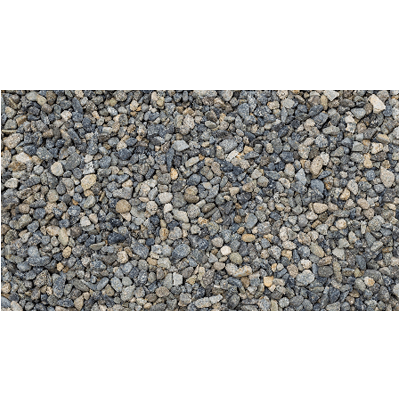 フィリピン産 新大磯-株式会社竹藤商店