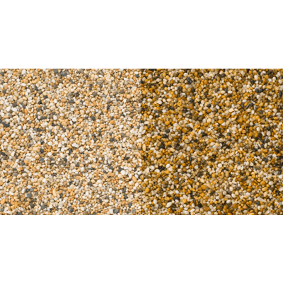 ニュージーランド産 フリージア ドライ-株式会社竹藤商店