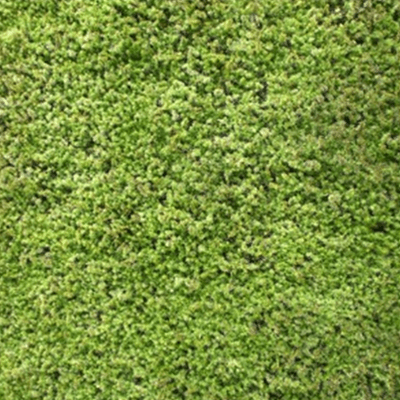 砂苔-株式会社竹藤商店