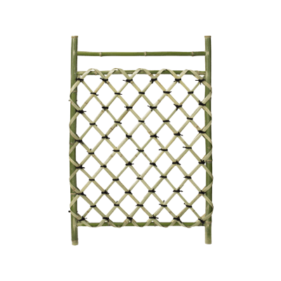 国産 青枝折戸-株式会社竹藤商店