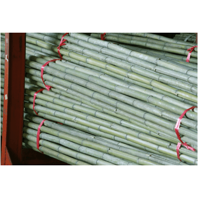 中国産 青竹 (真竹)-株式会社竹藤商店