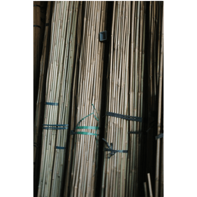 中国産 大和竹-株式会社竹藤商店