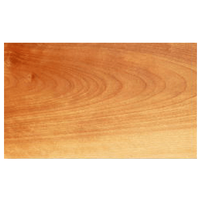 イエローバーチ Yellow Birch-株式会社宮原ランバー