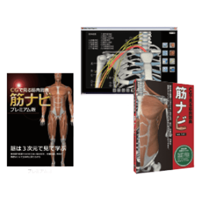 EMG表面筋電位 3DCG機能解剖学ソフトウェア-株式会社Q'sfix