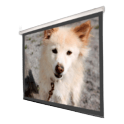 スクリーン・テレビハンガー ケース入りスプリング巻上スクリーン 4：3フォーマット-株式会社西口校具製作所