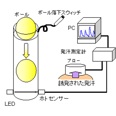 ヒト皮膚ガス・ガス分析 ボールキャッチによる発汗開始時間測定装置-有限会社ピコデバイス