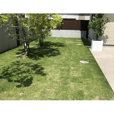 天然芝 NT22-株式会社NITTOSEKKO