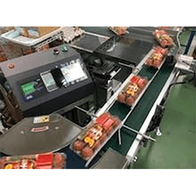 鶏卵ライン用　日付検査カメラ PC-10-株式会社シンメイ