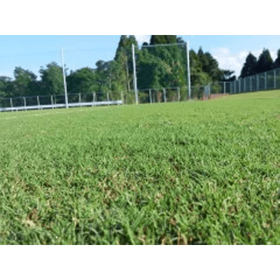 スポーツターフ ジョージア・ハイブリッド-コウフ・フィールド株式会社