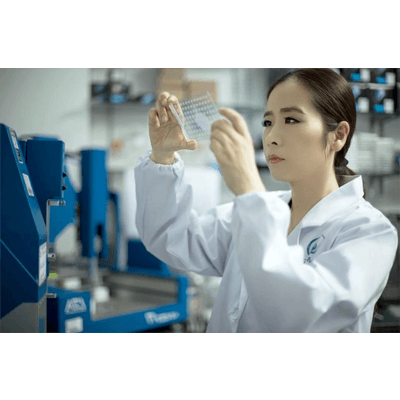 無機炎遅滞 水溶性6833-79-9アプリポリリン酸アンモニウム APP101-Shandong Novista Chemicals Co.,Ltd