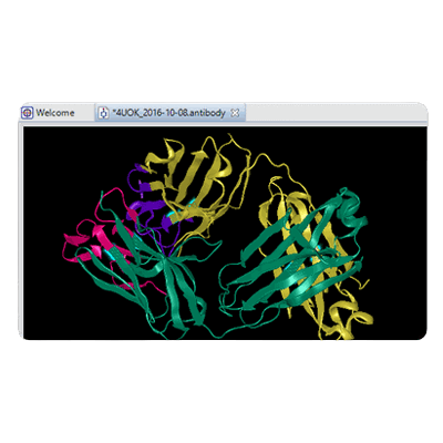 高精度のタンパク質構造予測とモデリングのための革新的なソフトウェア NOVA APPLICATIONS NOVAFOLD ANTIBODY-シップスバイオサイエンス株式会社
