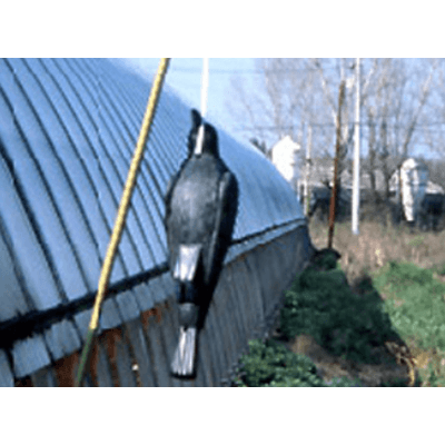 鳥獣害対策 カラスでカラスを撃退 擬似カラス コワガラス-株式会社カナエ