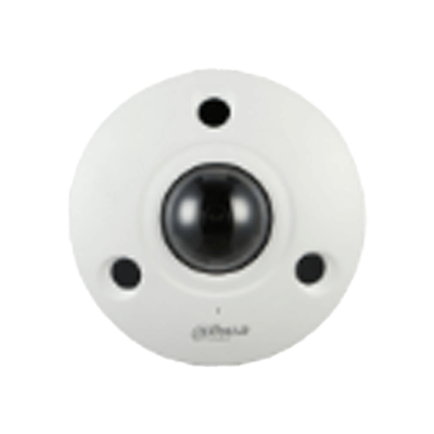 滞留検知カメラ DH-IPC-EBW81242N-株式会社エヌイーシステム