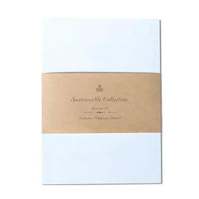 ステーショナリー 封筒 10枚入 タントキラ K9 白 銀 シルバー 無地 光沢 パール キラキラ H-TL0P1-株式会社包む