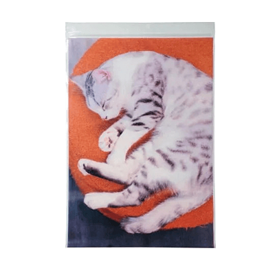 ラッピング ジッパーバッグ ねこ お昼寝ジップ ミー A4サイズ ジップバッグ H-TV026-株式会社包む