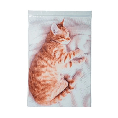 ラッピング ジッパーバッグ ねこ お昼寝ジップ トラ A4サイズ ジップバッグ H-TV028-株式会社包む