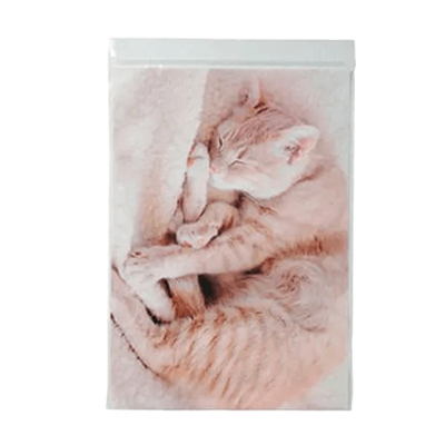 ラッピング ジッパーバッグ ねこ お昼寝ジップ ルナ B5サイズ ジップバッグ H-TV029-株式会社包む