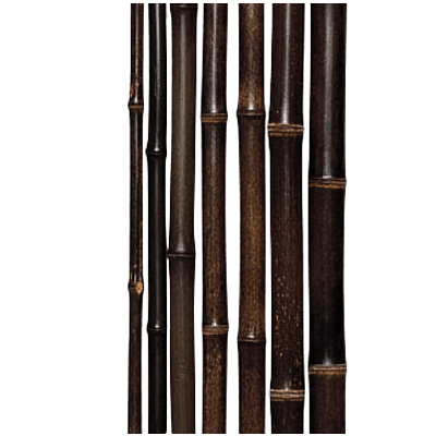 銘竹 黒竹 1,950×9-株式会社永井銘木店