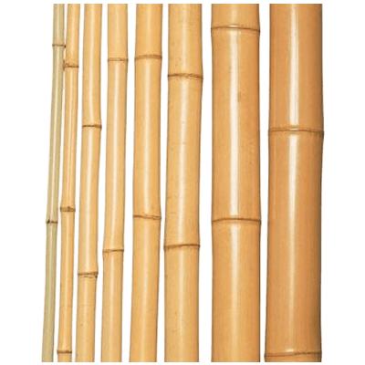 銘竹 晒竹 1,950×9-株式会社永井銘木店