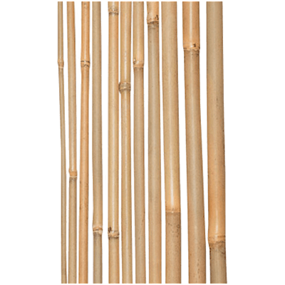 銘竹 女竹 1,950×7.5-株式会社永井銘木店