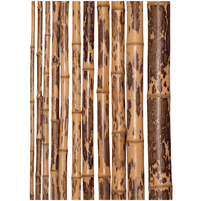 銘竹 紋竹 1,950×21-株式会社永井銘木店