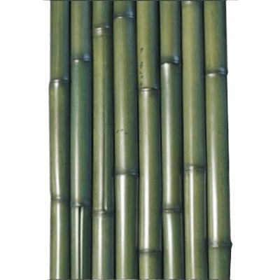 銘竹 染青竹 1,950×12-株式会社永井銘木店